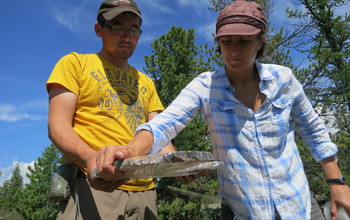 Researcher Sanaa Byambasuren and geographer Amy Hessl holding a section of a tree